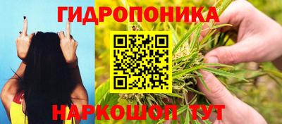 скорость Камышлов
