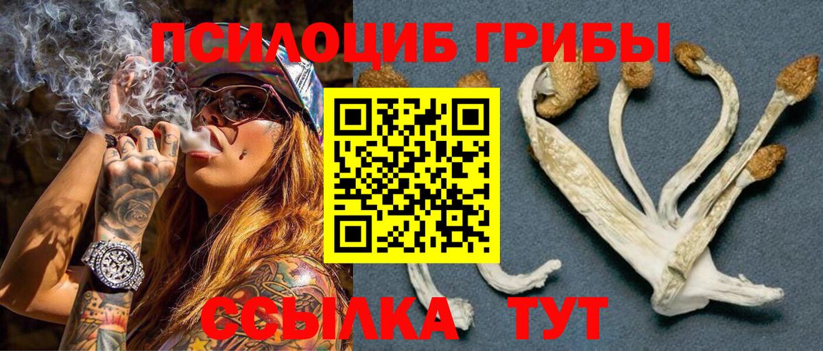 Галлюциногенные грибы Psilocybe  Вход с VPN  Михайловка  Псилоцибиновые грибы мухоморы 