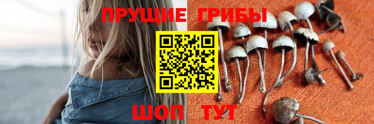 Галлюциногенные грибы ЛСД Михайловка
